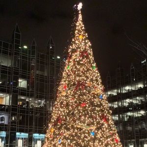 Meet your Posher, Elyse